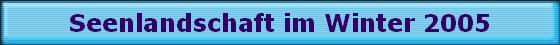 Seenlandschaft im Winter 2005