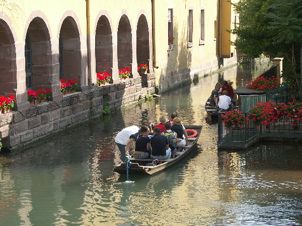Elsass_WS_2005-08-13 10-25-20_75