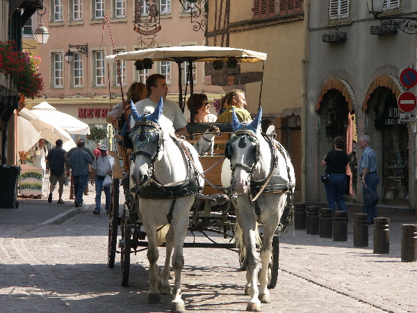 Elsass_WS_2005-08-13 10-40-45_82