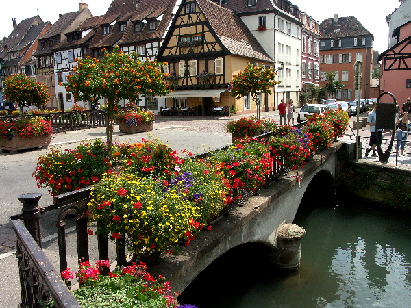 Elsass_WS_2005-08-13 12-02-57_102